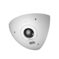 Hikvision DS-2CD6W45G0-IVS 4MP Fisheye voor hoekmontage, micro ingebouwd, IR 10m, IK10+, Nema 4X, IP67