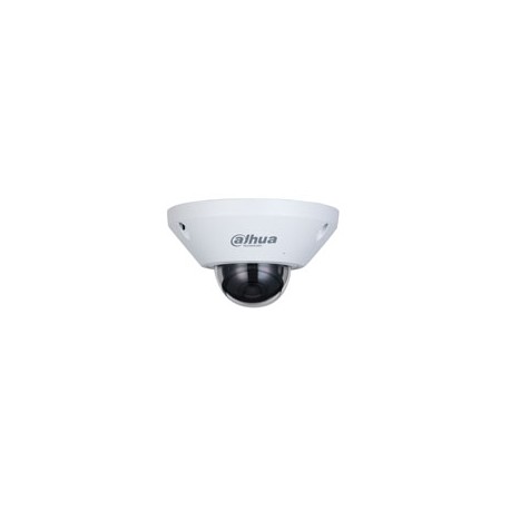 Dahua WizMind 5MP Fisheye netwerkcamera DH-IPC-EB5541P-AS IP67, IK10